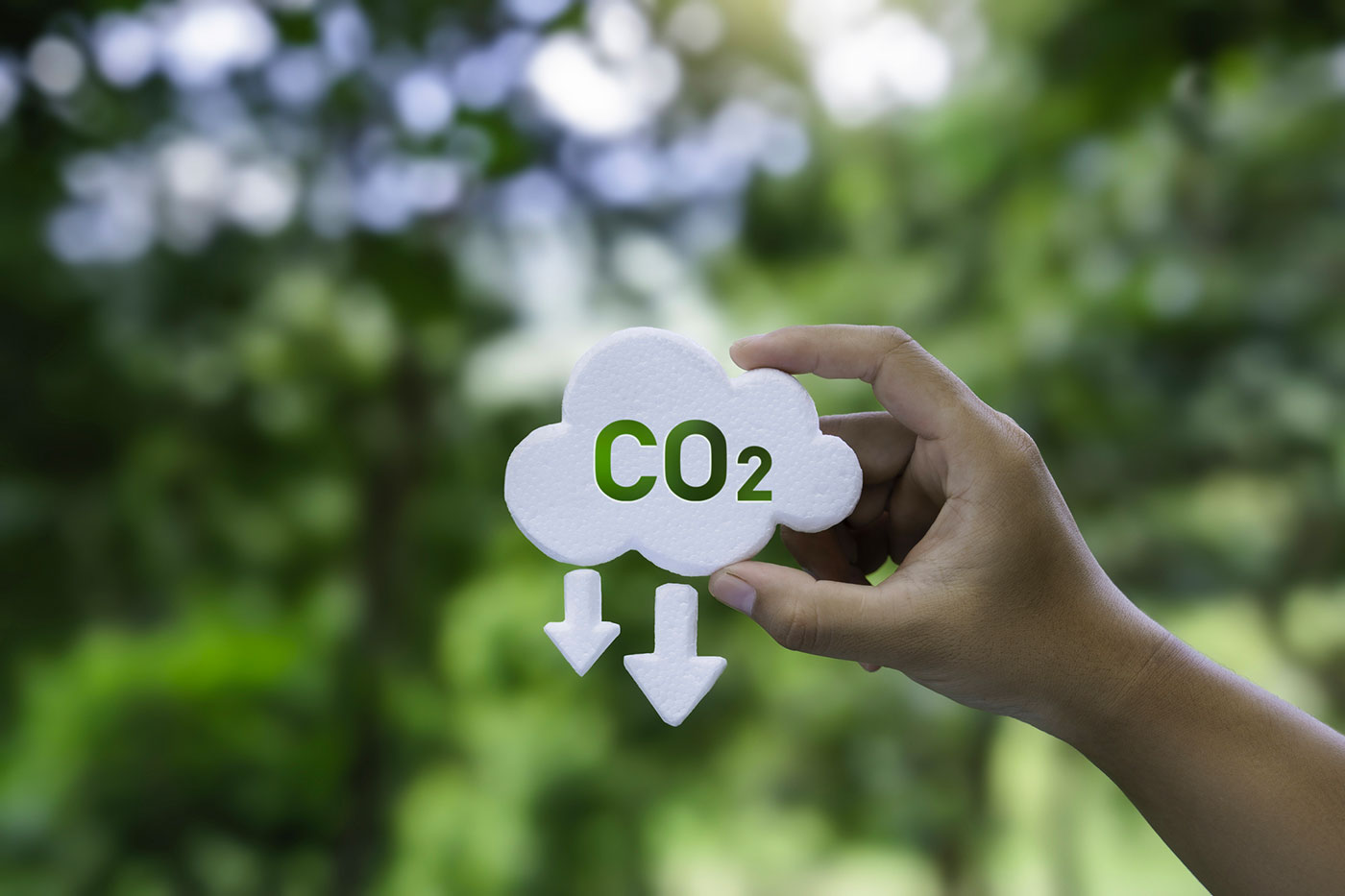 <strong>Analisi di Carbon Footprint</strong>/Misura le tue emissioni di CO<sub>2</sub> tramite l'